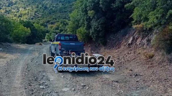 viber_image_2026-09-18_15-30-09-203